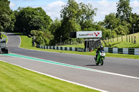 Lower Group Green Bikes